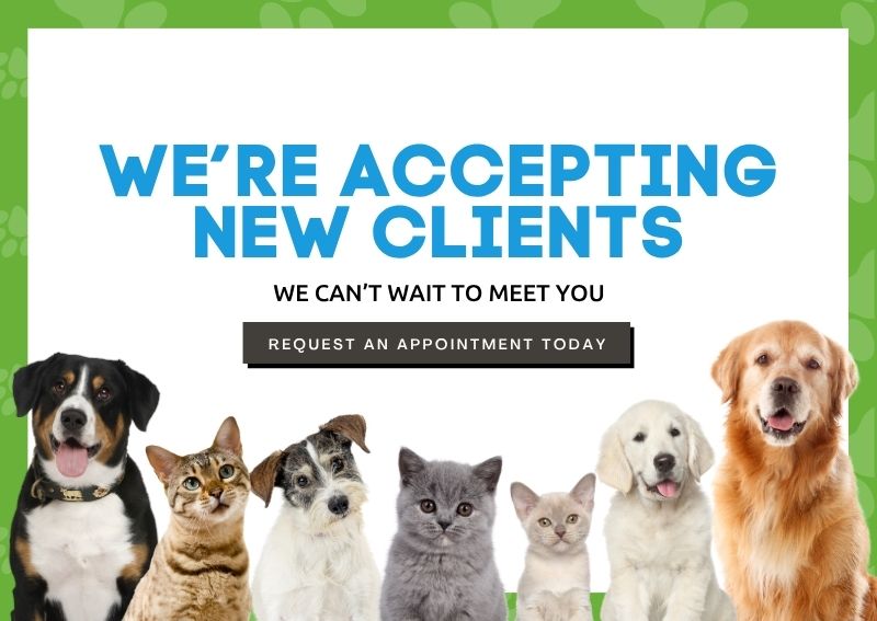 Carousel Slide 1: New Clients Welcome