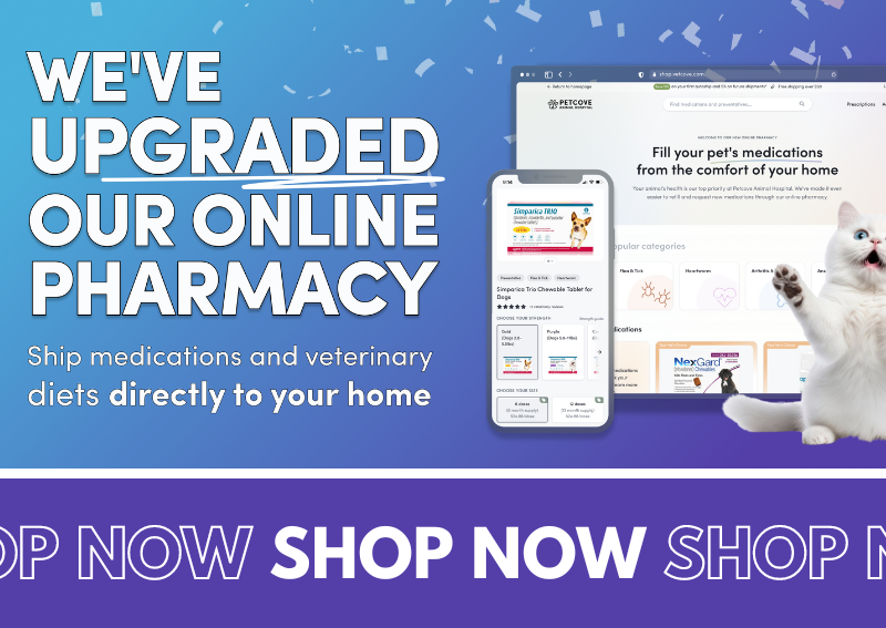 Carousel Slide 3: Online Pharmacy